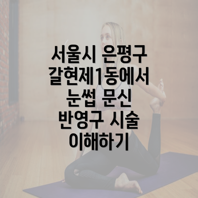 서울시 은평구 갈현제1동에서 눈썹 문신 반영구 시술 이해하기