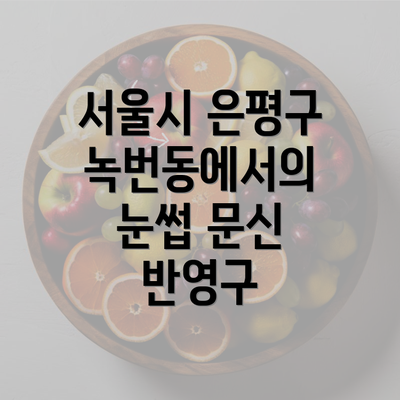 서울시 은평구 녹번동에서의 눈썹 문신 반영구