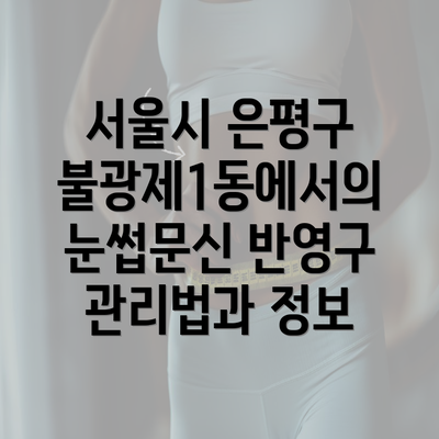 서울시 은평구 불광제1동에서의 눈썹문신 반영구 관리법과 정보