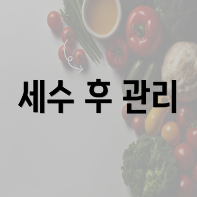 세수 후 관리