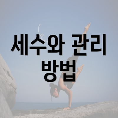 세수와 관리 방법