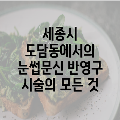 세종시 도담동에서의 눈썹문신 반영구 시술의 모든 것