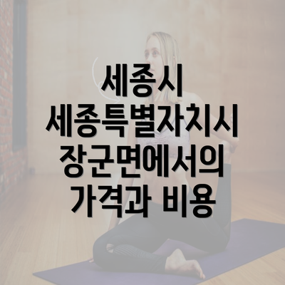 세종시 세종특별자치시 장군면에서의 가격과 비용