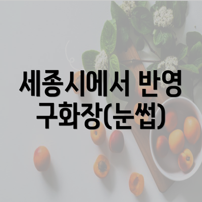 세종시에서 반영구화장(눈썹)