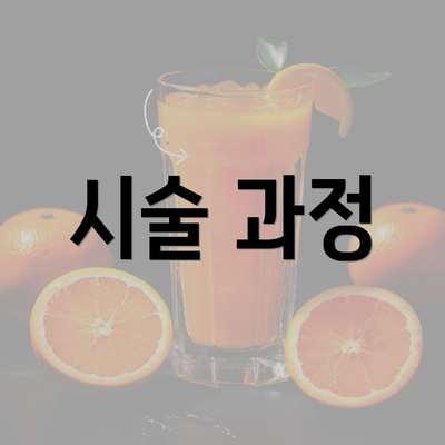 시술 과정