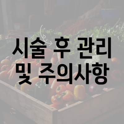 시술 후 관리 및 주의사항