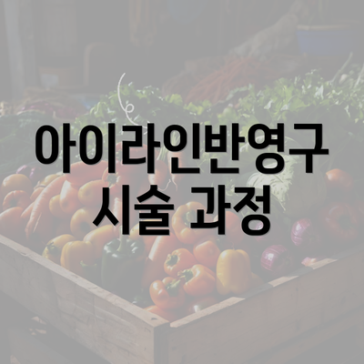 아이라인반영구 시술 과정