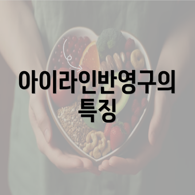 아이라인반영구의 특징