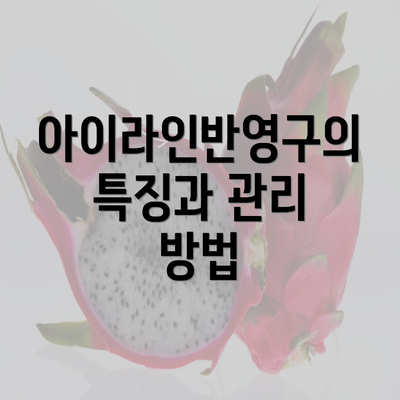 아이라인반영구의 특징과 관리 방법