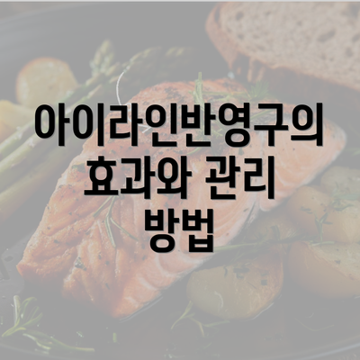 아이라인반영구의 효과와 관리 방법