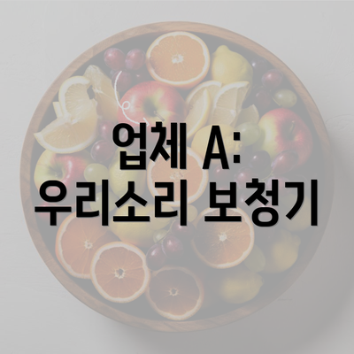 업체 A: 우리소리 보청기