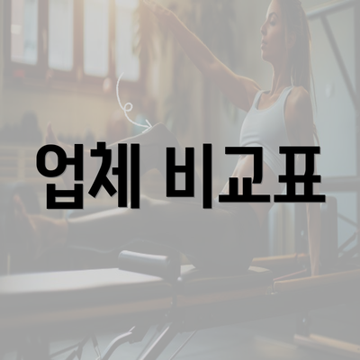 업체 비교표