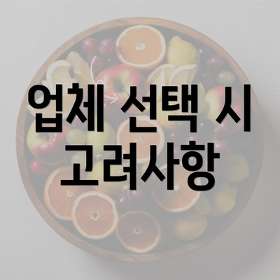 업체 선택 시 고려사항