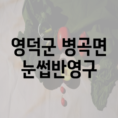 영덕군 병곡면 눈썹반영구