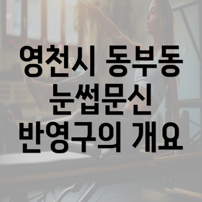 영천시 동부동 눈썹문신 반영구의 개요