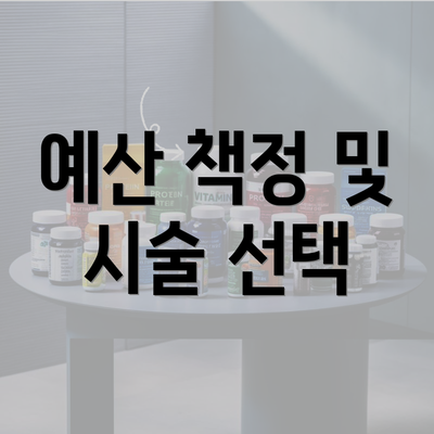 예산 책정 및 시술 선택