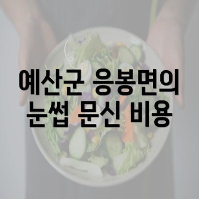 예산군 응봉면의 눈썹 문신 비용