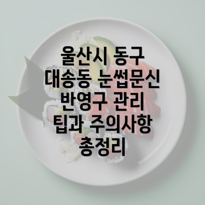 울산시 동구 대송동 눈썹문신 반영구 관리 팁과 주의사항 총정리