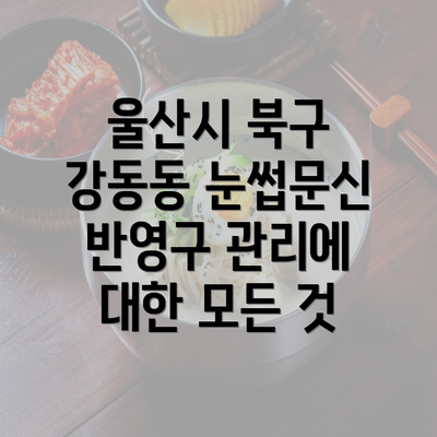 울산시 북구 강동동 눈썹문신 반영구 관리에 대한 모든 것