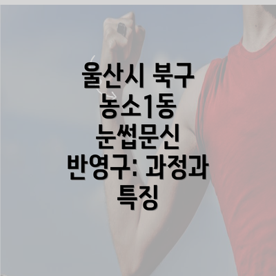 울산시 북구 농소1동 눈썹문신 반영구: 과정과 특징