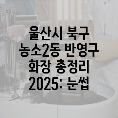 울산시 북구 농소2동 반영구 화장 총정리 2025: 눈썹