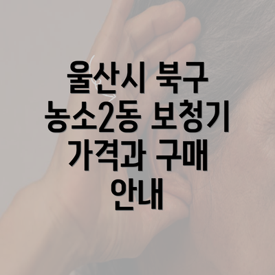 울산시 북구 농소2동 보청기 가격과 구매 안내