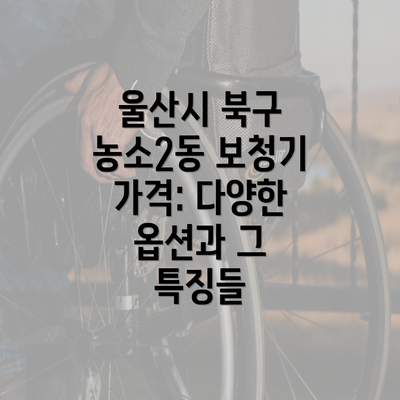 울산시 북구 농소2동 보청기 가격: 다양한 옵션과 그 특징들