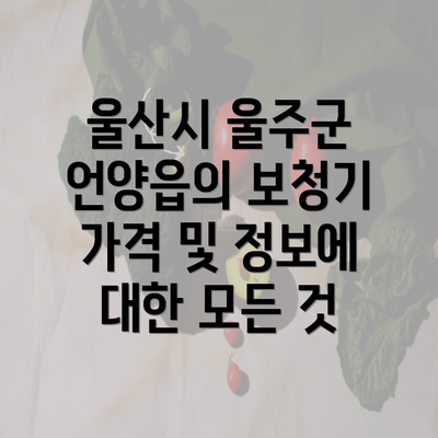 울산시 울주군 언양읍의 보청기 가격 및 정보에 대한 모든 것