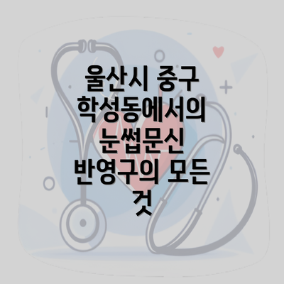 울산시 중구 학성동에서의 눈썹문신 반영구의 모든 것