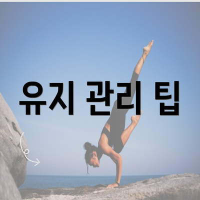 유지 관리 팁