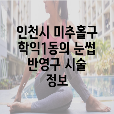 인천시 미추홀구 학익1동의 눈썹 반영구 시술 정보