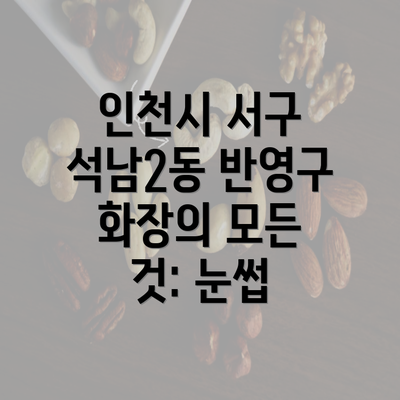 인천시 서구 석남2동 반영구 화장의 모든 것: 눈썹