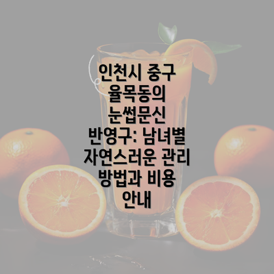 인천시 중구 율목동의 눈썹문신 반영구: 남녀별 자연스러운 관리 방법과 비용 안내