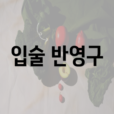 입술 반영구