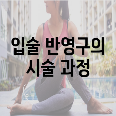 입술 반영구의 시술 과정