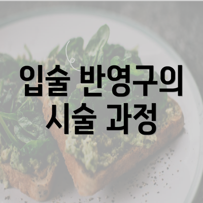 입술 반영구의 시술 과정