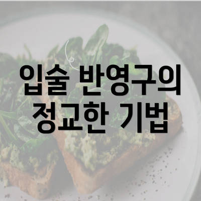 입술 반영구의 정교한 기법