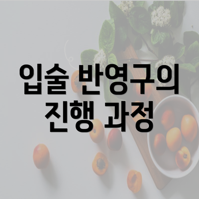 입술 반영구의 진행 과정