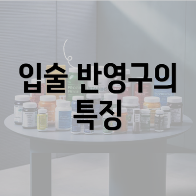 입술 반영구의 특징