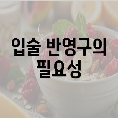 입술 반영구의 필요성