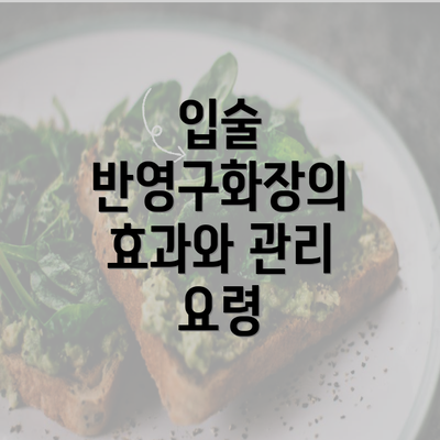 입술 반영구화장의 효과와 관리 요령