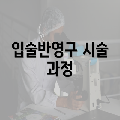 입술반영구 시술 과정