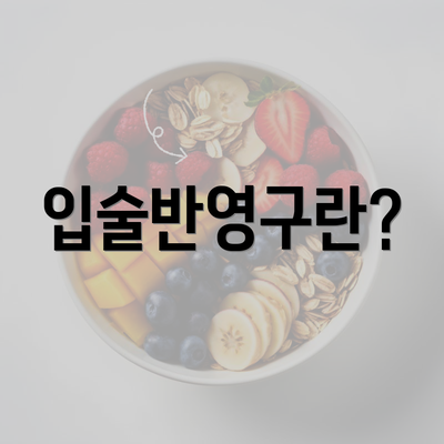 입술반영구란?