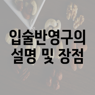 입술반영구의 설명 및 장점