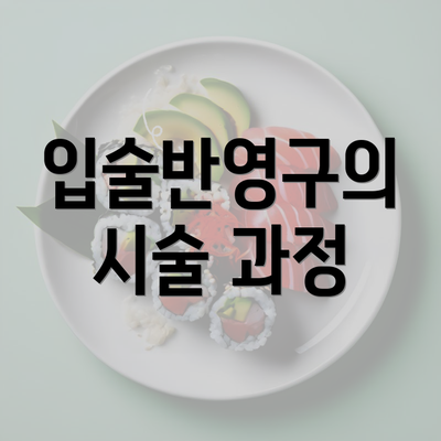 입술반영구의 시술 과정