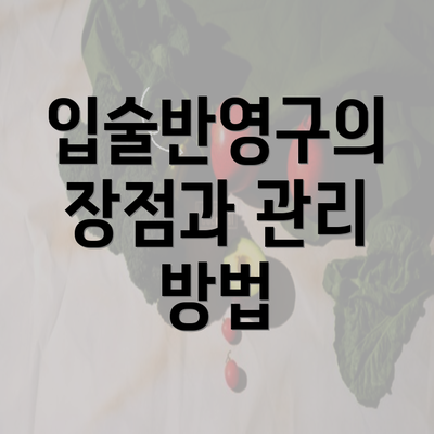 입술반영구의 장점과 관리 방법