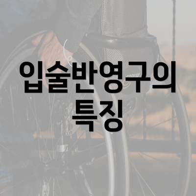 입술반영구의 특징