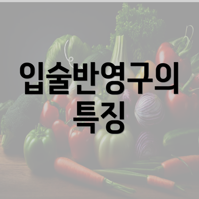 입술반영구의 특징