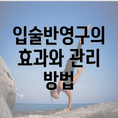 입술반영구의 효과와 관리 방법