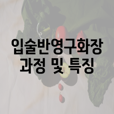 입술반영구화장 과정 및 특징